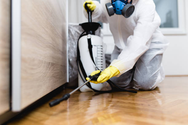 Best Affordable Pest Control Services  in New Castle, CO