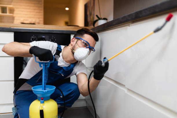 Trusted New Castle, CO Pest Control Experts