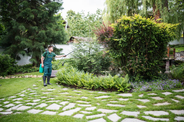 Best Affordable Pest Control Services  in New Castle, CO