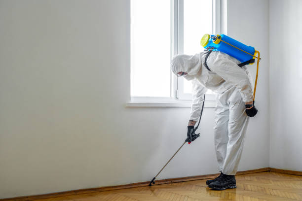 Best Residential Pest Control  in New Castle, CO